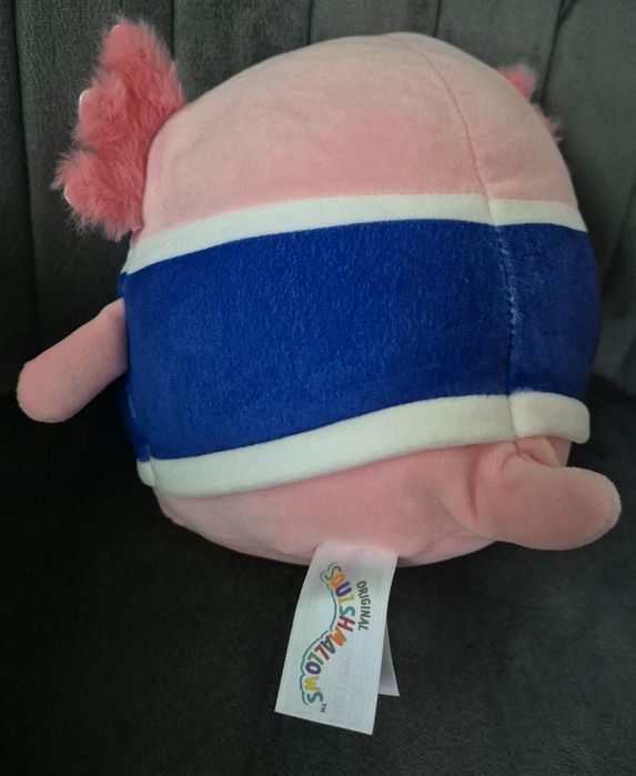 Squishmallows Axolor Archie idealny