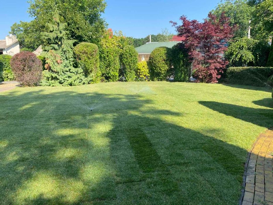 Рулонный газон, укладка рулонного газона