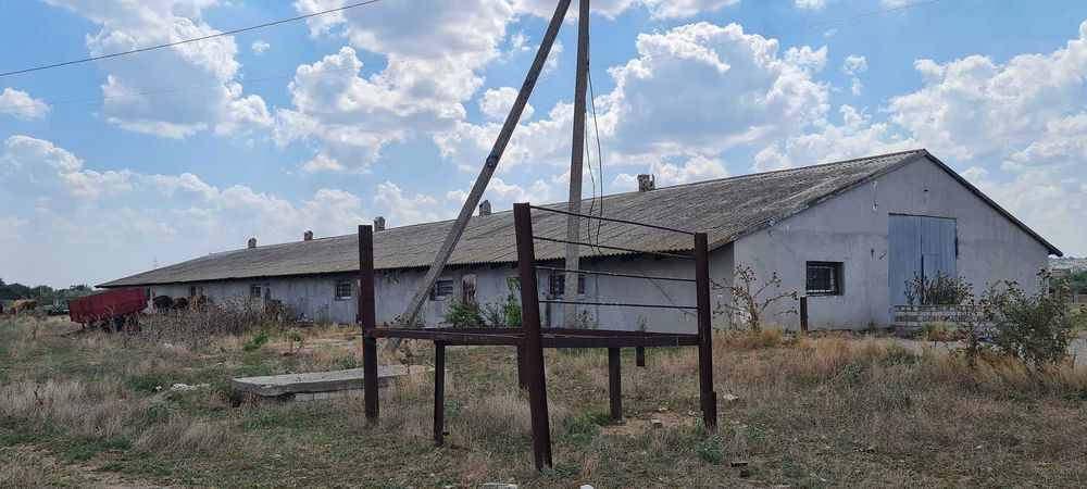 Продаж тваринницького комплексу. 5000 кв.м. 11 га.