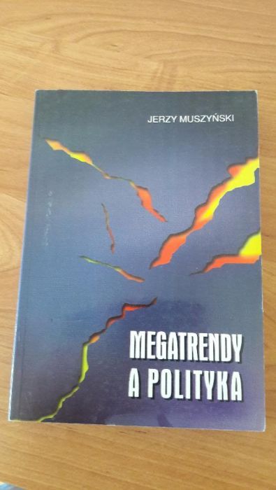 Mega trendy a polityka