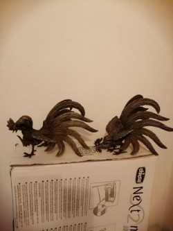 Par de galináceos em latão. Objetos decorativos muito atraentes.