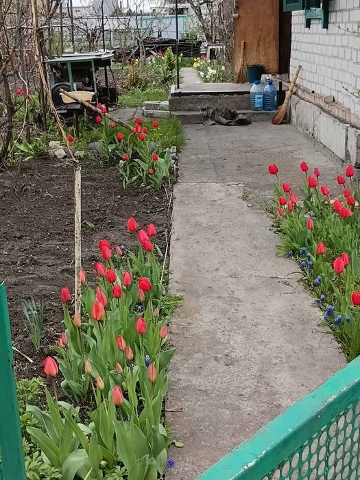 Дача и 6 соток земли