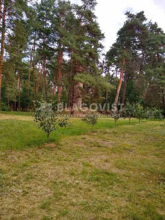 Продаж Земельної Ділянки 9 га в Козині серед Лісу ! База Відпочинку