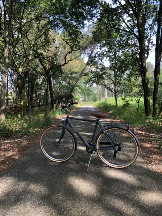 Bicicleta Homem | Adriática