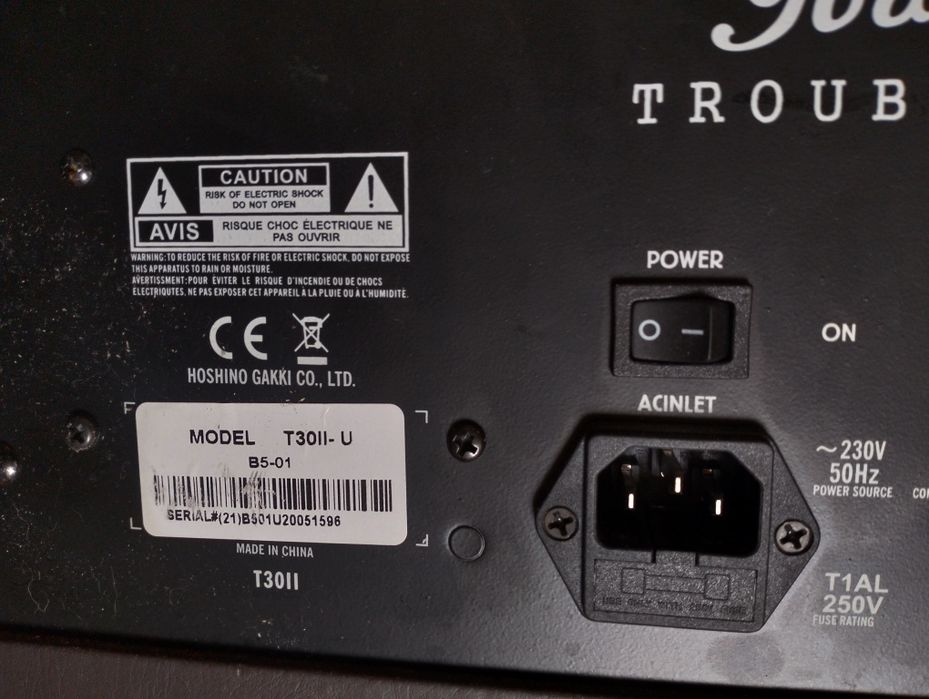 Coluna para guitarra acústica Ibanez  TROUBADOUR T30II