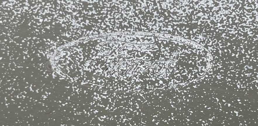 capot ford transit VII (V347/8) . 2OO6-2O13