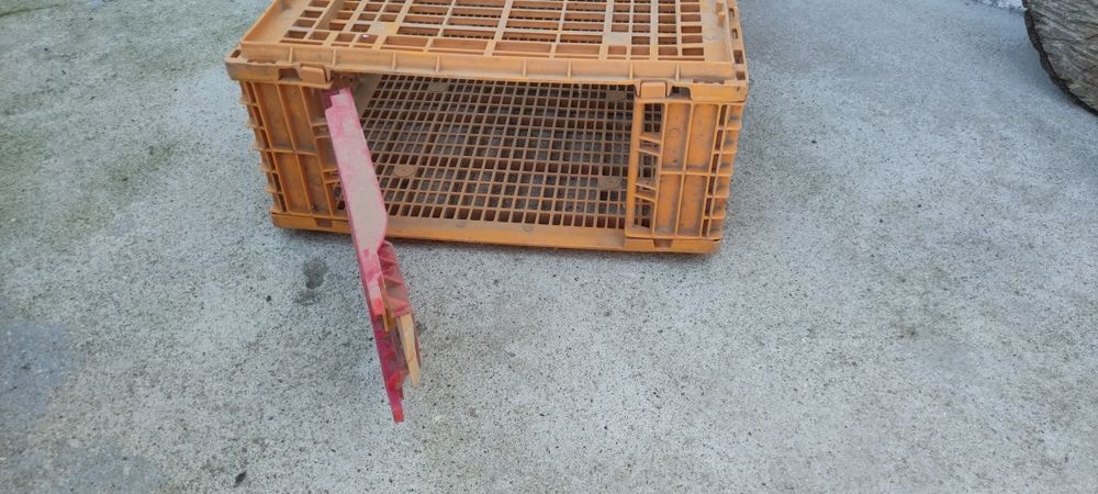 Gaiolas para transportar animais