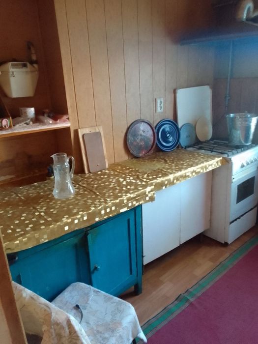 Продам будинок у Фастові, 64,1 м², 5 соток, газ, гараж, 10 хв до вокзалу, 60 км від Києва