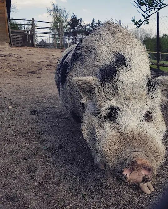 Przystań Mielenko Wedkarstwo Agroturystyka Łowisko
