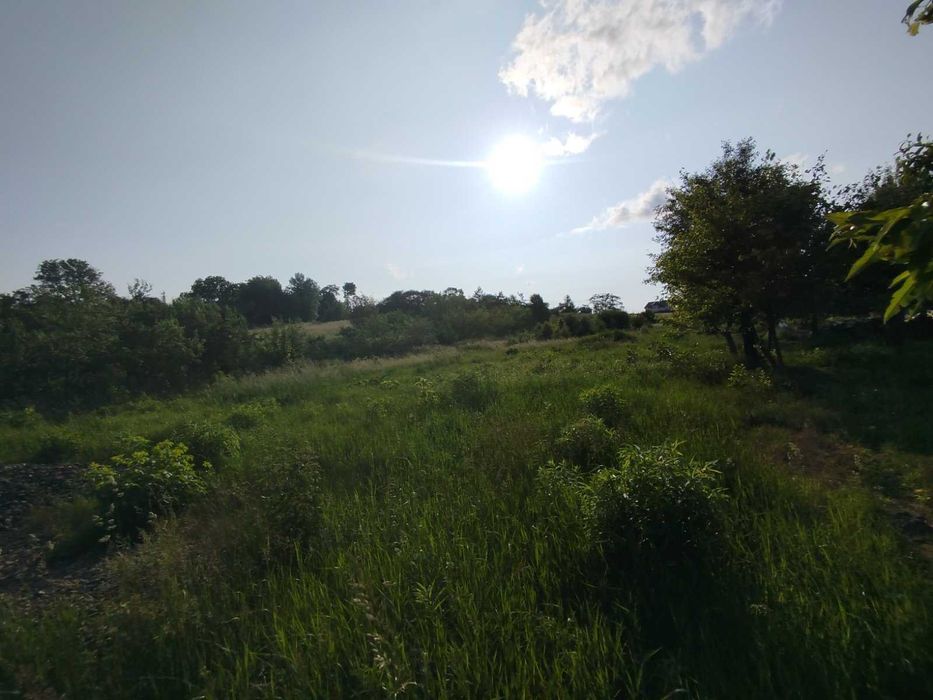 (8) Продам земельну ділянку в Бохониках 8614