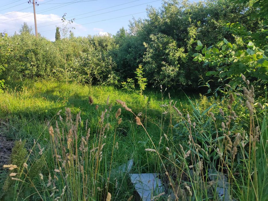 Продам 34-сот приватизованої землі Крошня