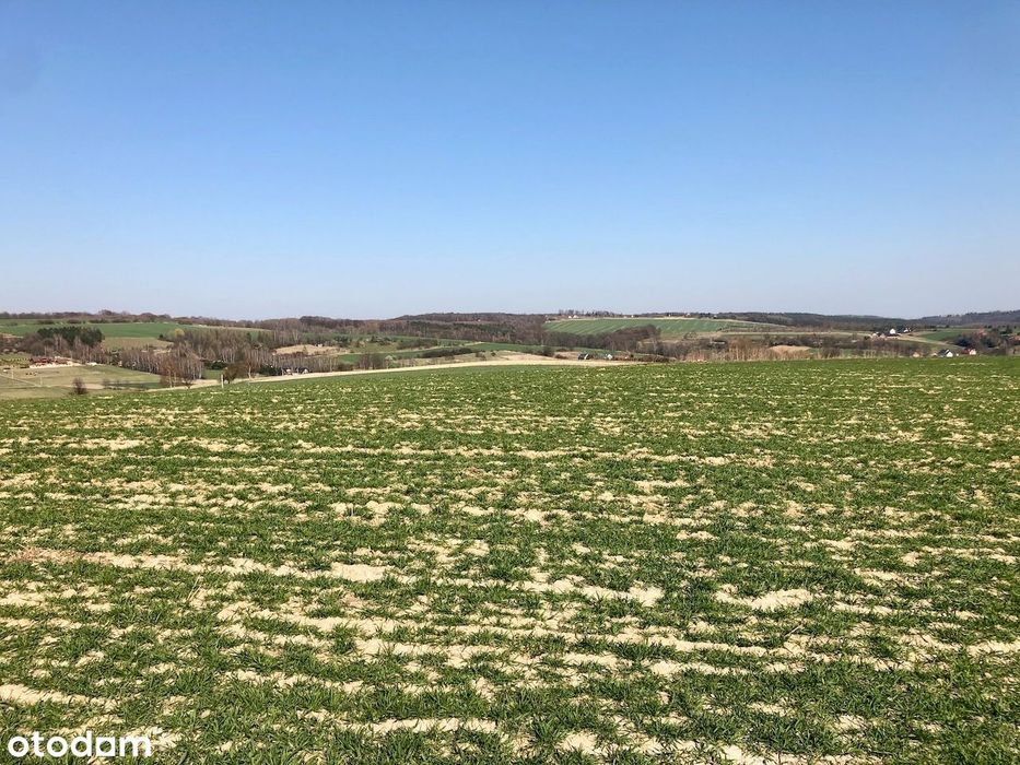 Działka widokowa, 89 ar, Brzoskwinia