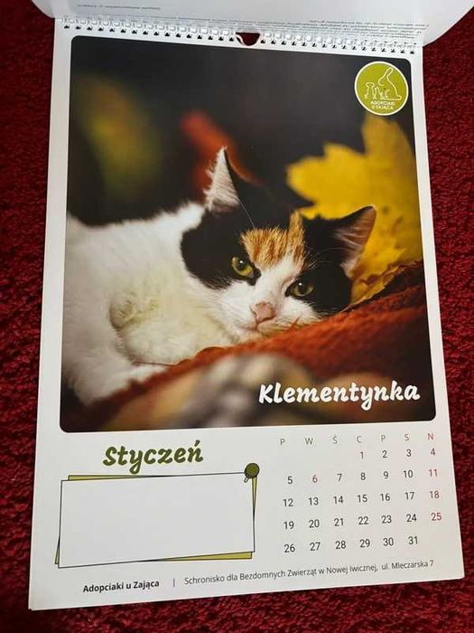 Kalendarz ścienny 2026