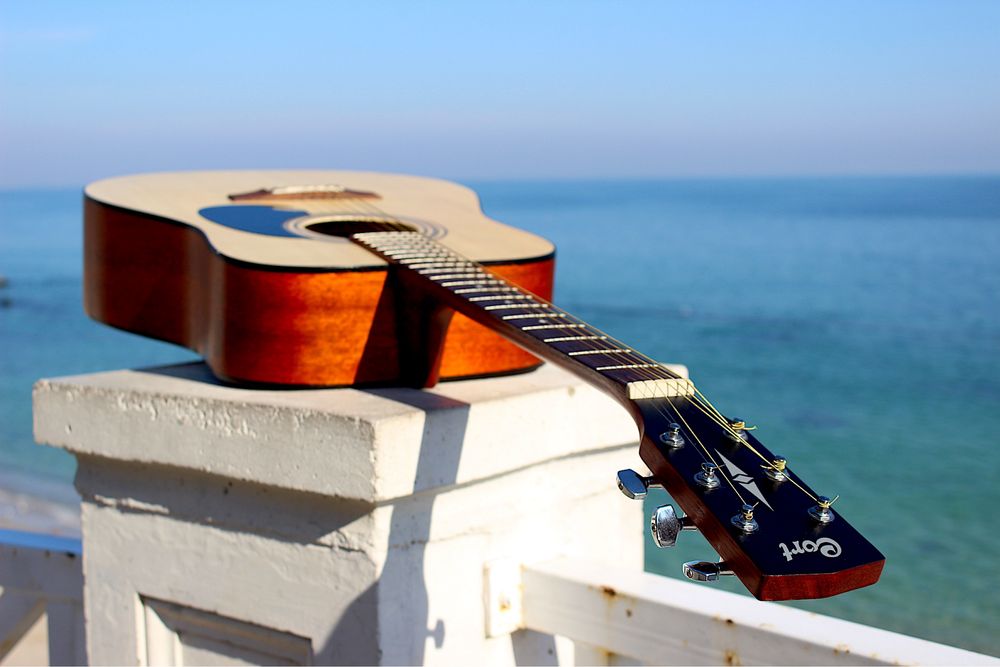 Гитара акустическая Cort 810 чехол RockBag утепленный