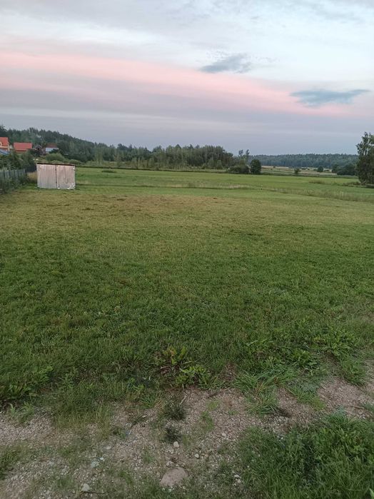 Zdjęcie 3