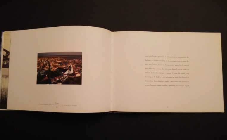 Francisco José Viegas - O Voo dos Anjos - Um Cântico Votivo