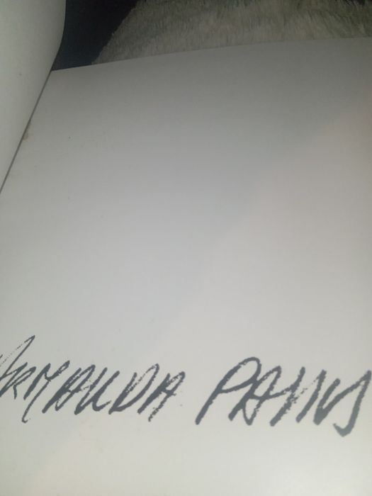 Livro da pintora Armanda pais