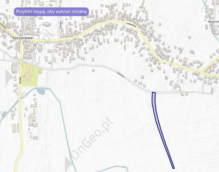 Działka budowalno-rolna 0.68ha SZCZUROWA ul. Szkolna - Widok 2