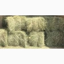 Продам сіно в тюках .