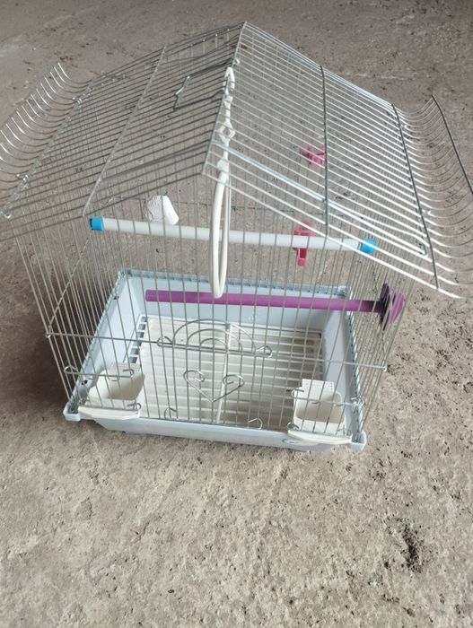 Клідка для попугая