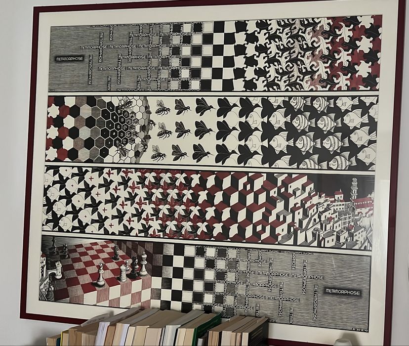 QUADRO ERSHE METAMORPHOSE