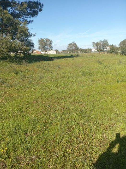 Lotes p/casas moveis,6 mil euros de entrada