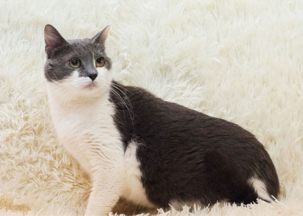 Скромная и красивая Санни ищет домик!