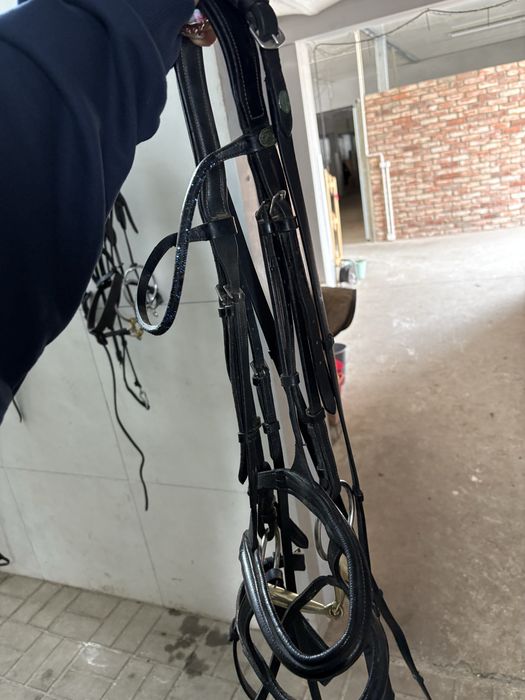 Ogłowie z wędzidłem