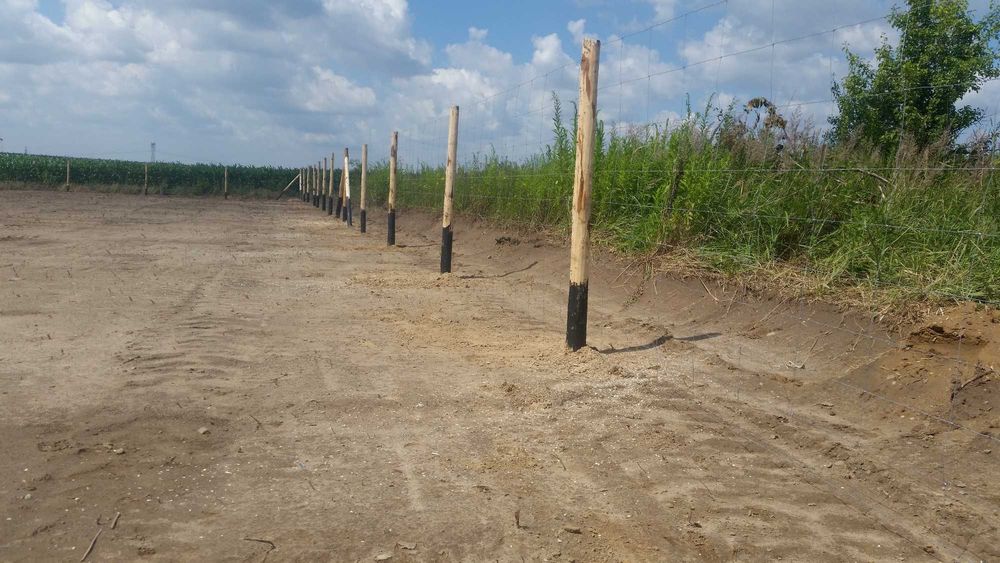 słupki ,kołki, żerdzie , ogrodzenie  budowlane tymczasowe siatka leśna