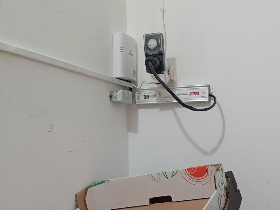 Luzes néon "Até cresce água na boca"