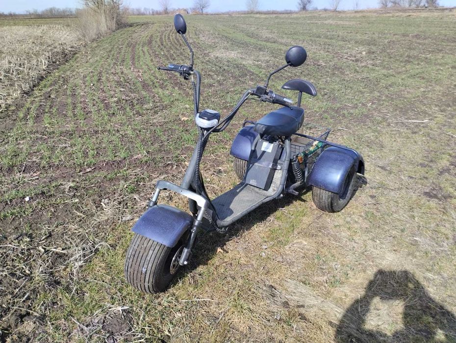 Citycoco Trioл 60в 2000w