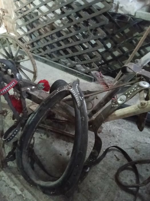 Sprzedam chomonto, podkład, uzdę i pasy co widać