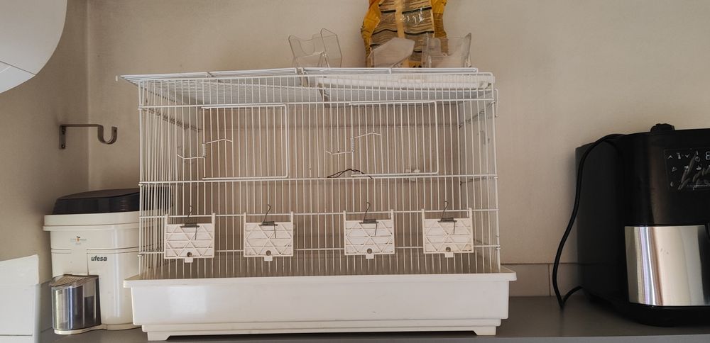 Gaiola para periquitos (mais que um)