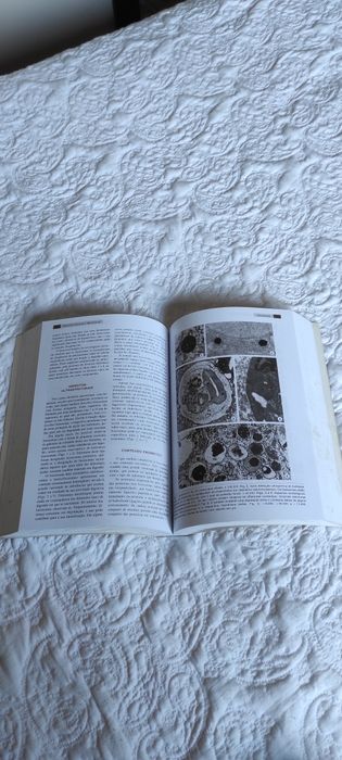 Livro Biologia celular Molecular Carlos Azevedo