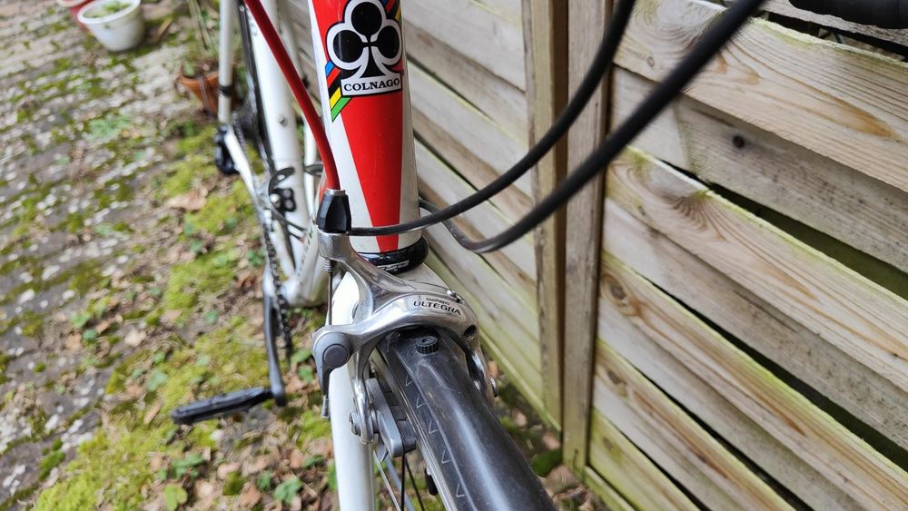 Rower Colnago Primavera + Błotniki Crud Roadracer mk2