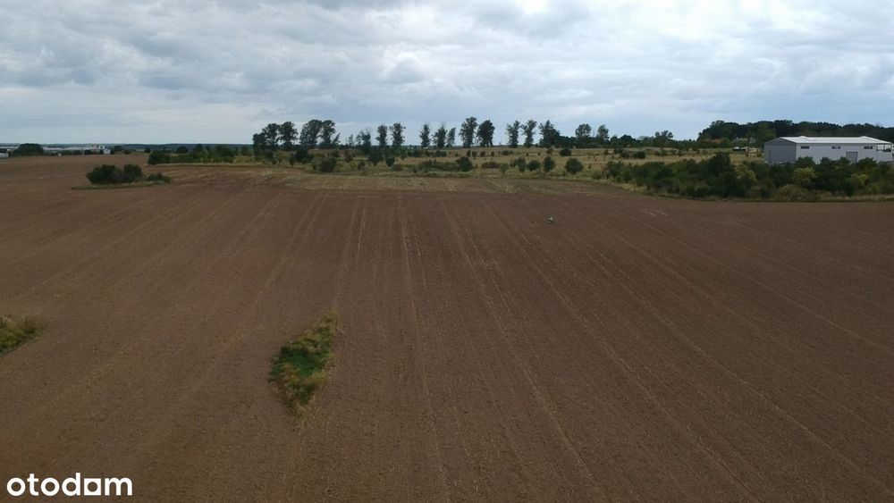 Wydane WZ (hale 3300 m2) + Strefa Gospodarcza w Planie Ogólnym!