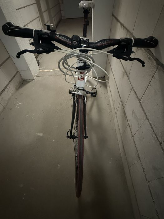Rower szosowy Scatto Linea , widelec Carbon