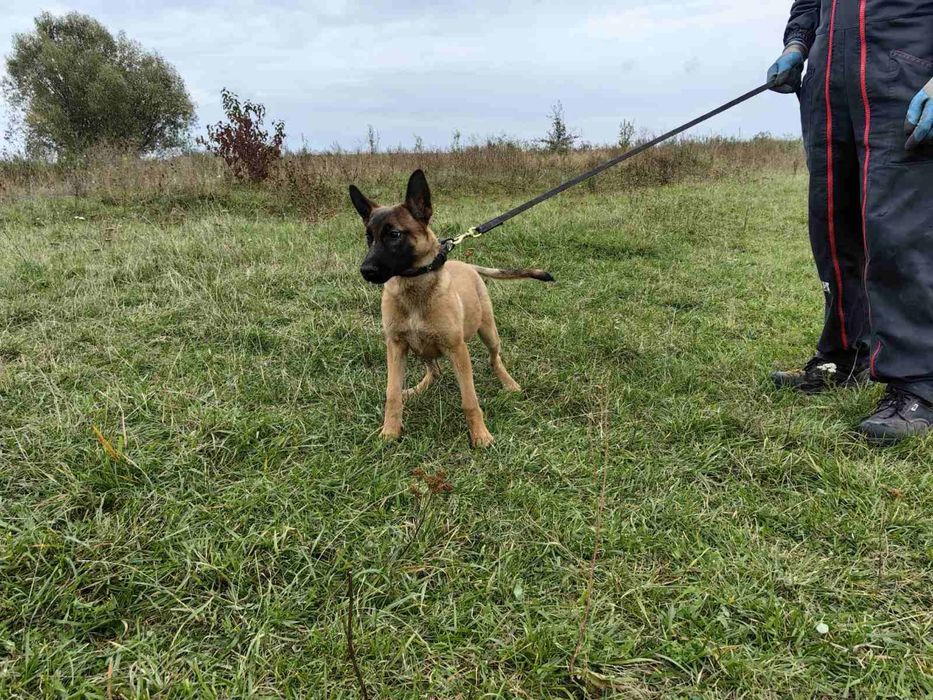 Шукаємо домівку!