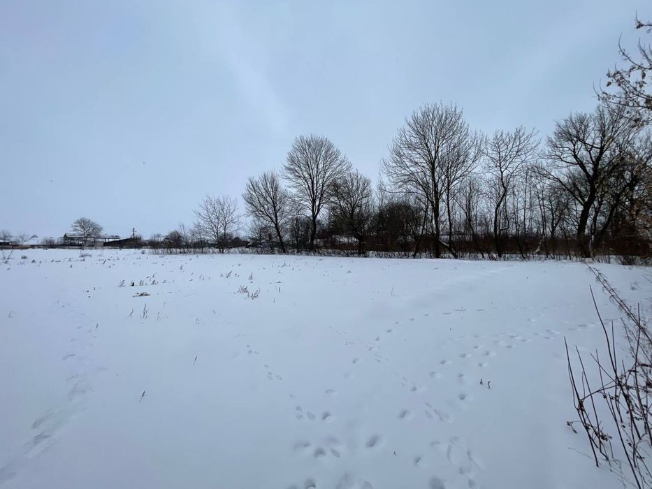 Продам земельну ділянку 80 соток біля Хмільника