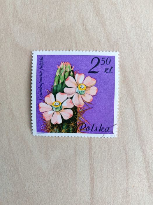 Znaczki polskie 1981: Kwiaty sukulentów – kaktusy, PRL, vintage