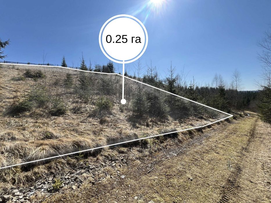 Земельна ділянка в Яблуниці 0.25 га