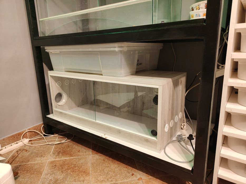 sprzedam zamienię terarium