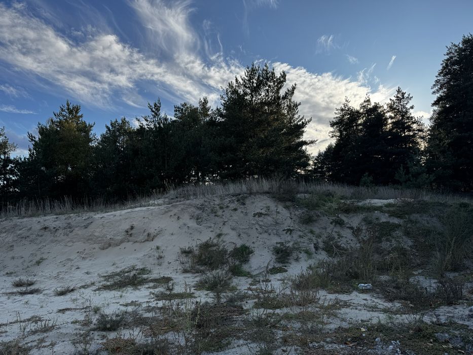 Дом в Шульговке , Петриковский р- н, Каменское 20 км.