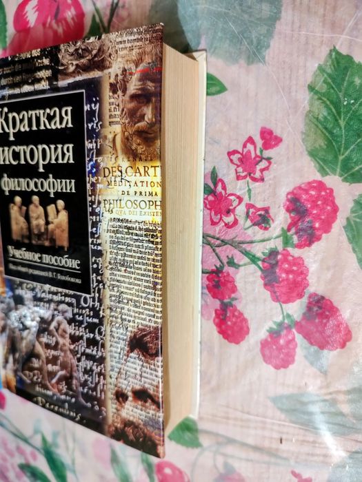 Краткая история философии книга учебное пособие
