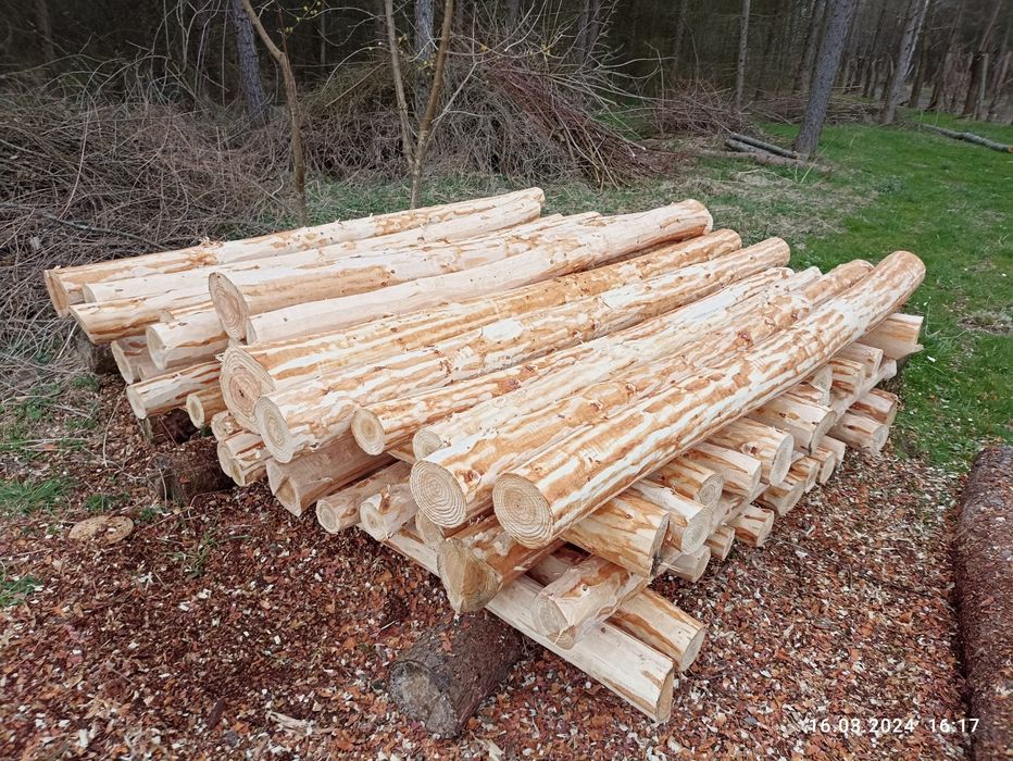 Żerdzie, słupki modrzewiowe