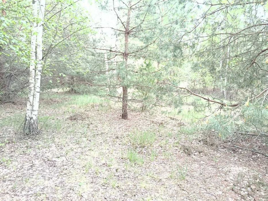 Продам  15-сот під забудову село.Сінгури р-н новобудов