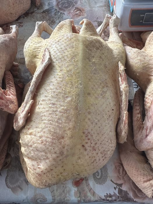 Качка мулард утка мʼясо