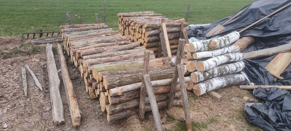 Drzewo opałowe liściaste iglaste