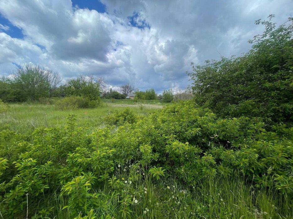 будинок пів будинку