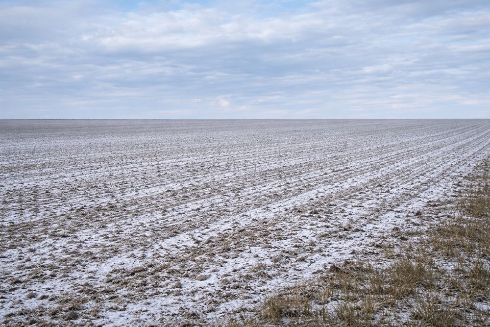 Продаж землі у Волинській обл. 10000 га.